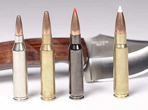 243 Winchester, .260 Remington, .308 Winchester, .338 Federal.